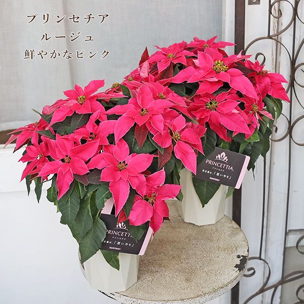 未使用あり】輪島塗 長手脇引膳 5客 梨地霞/波蒔絵 卓上膳/懐石膳/会席膳