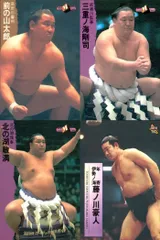 2026年最新】相撲 北の湖の人気アイテム - メルカリ