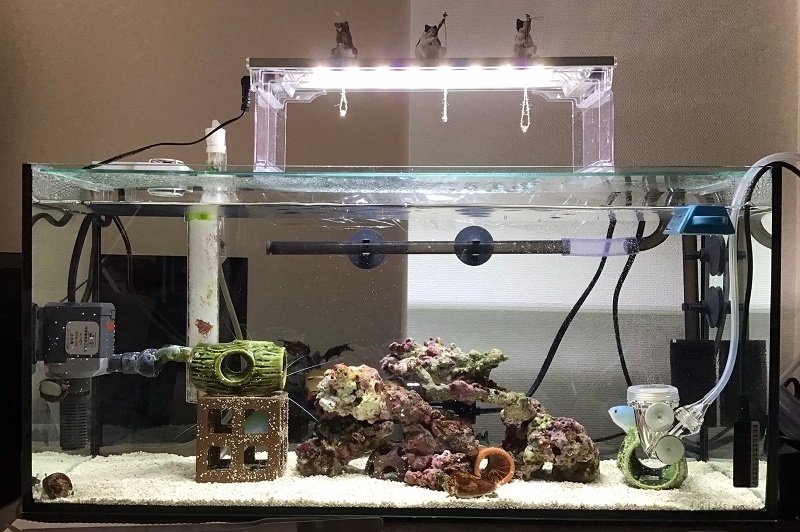 熱帯魚水槽60センチ 外部フィルター セット一式