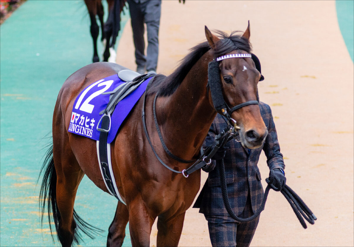 JRA マカヒキに「激走」の可能性が急浮上!? 凱旋門賞（G1）大敗から5年