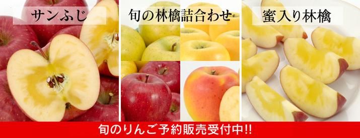 ノースページ 農家直送青森検査りんご使用加工品詰め合わせセット各8個