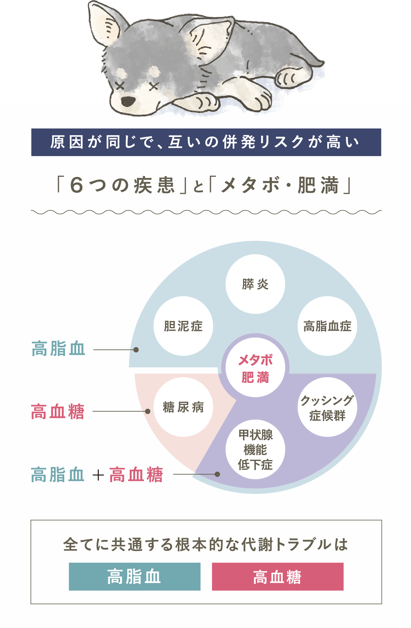 犬心～糖＆脂コントロール～ - 犬心～INUKOKORO～