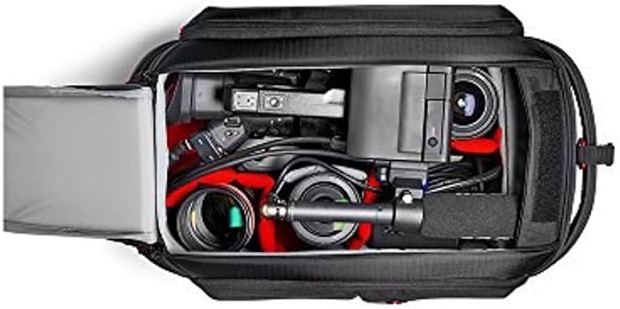 Amazon.com : Manfrotto Pro Light Video Camera Bag, Black, Compact