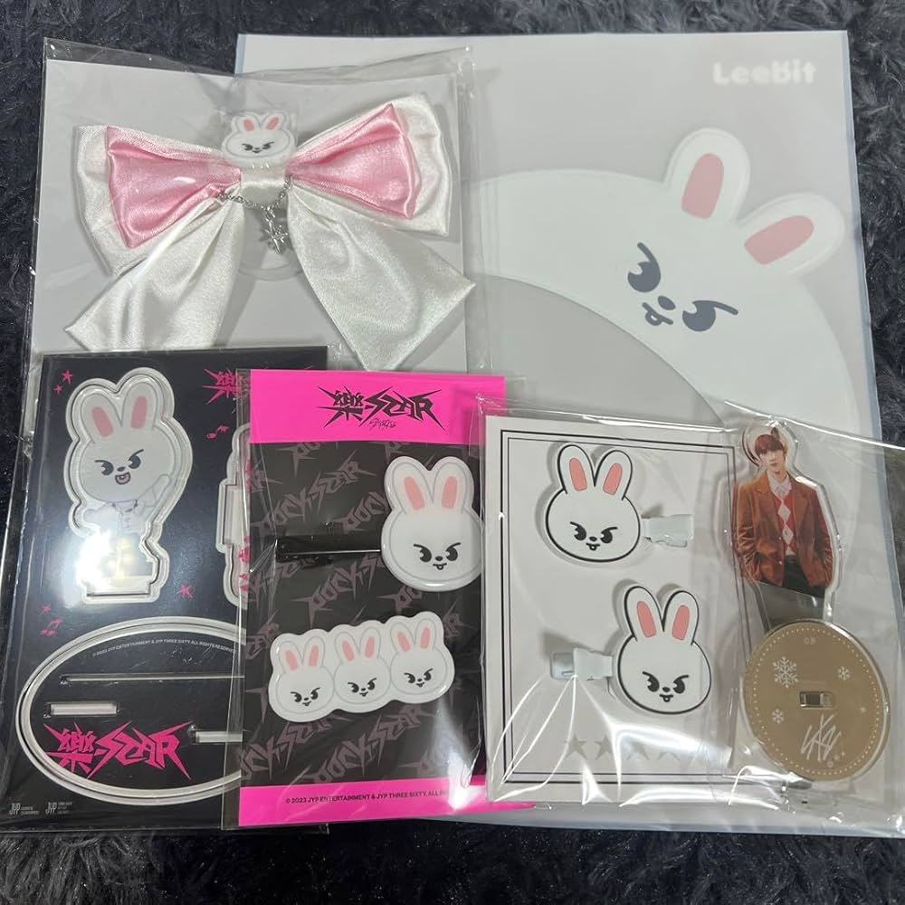straykids リノleebit リービットまとめ売り