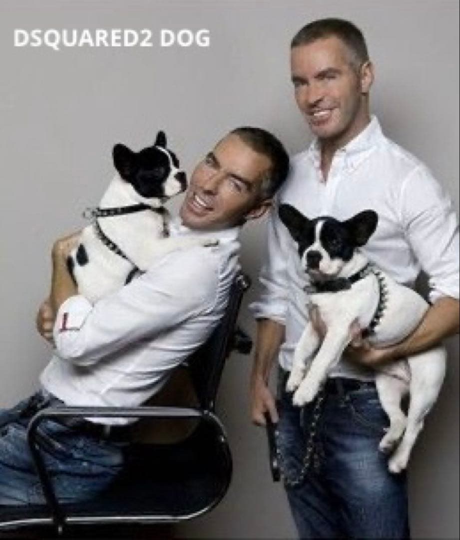 激レア DSQUARED 2 DOG Harness 犬用スタッズ付ハーネス 激レア DSQUARED 2 DOG Harness 犬用スタッズ付ハーネス