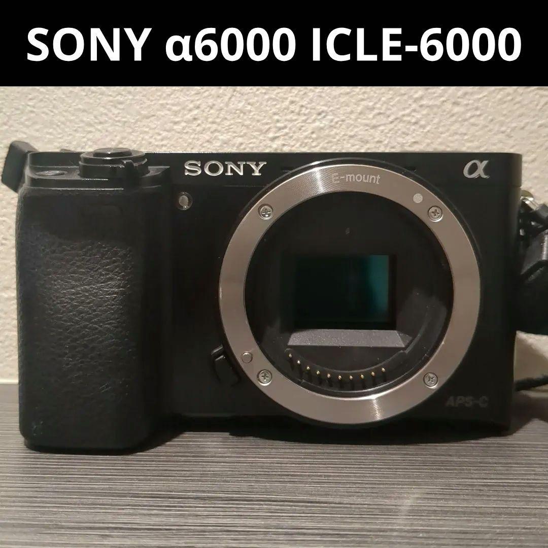 SONY α6000 ILCE-6000 美品 本体のみ バッテリー付属 SONY α6000 ILCE-6000 美品 本体のみ バッテリー付属