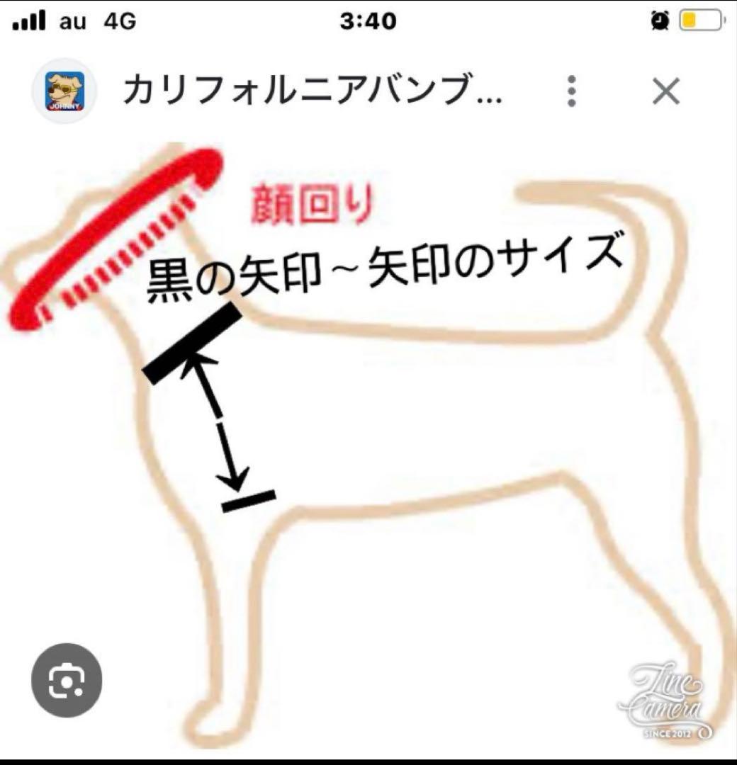 pon2pan2☆ぴぃ