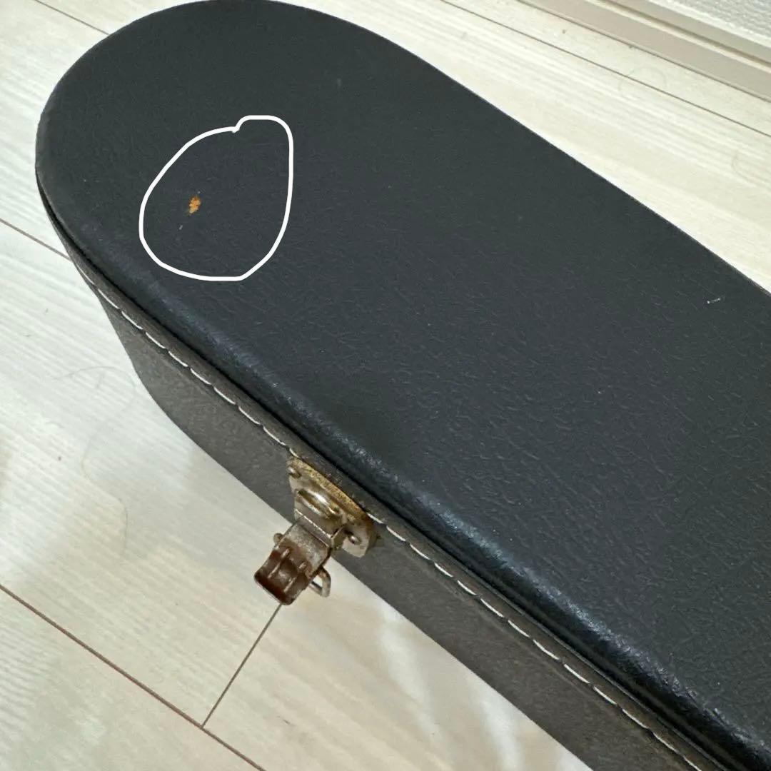 お得】James JF350NAアコースティックギター ハードケース付き - メルカリ