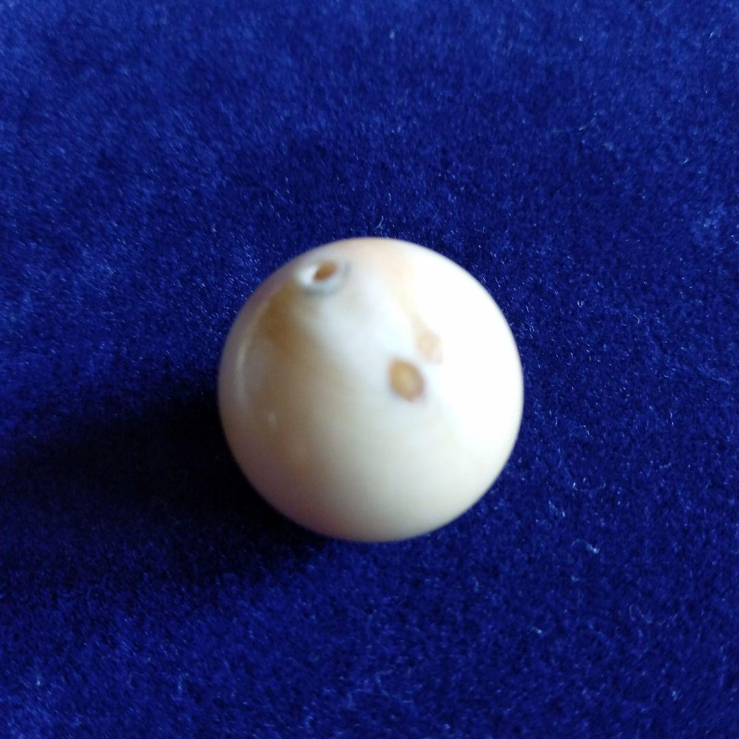鯨歯　マッコウクジラ　牙玉　ルース　約19.5㎜　片穴 鯨歯 マッコウクジラ 牙玉 ルース 約19.5㎜ 片穴 鯨歯 マッコウクジラ