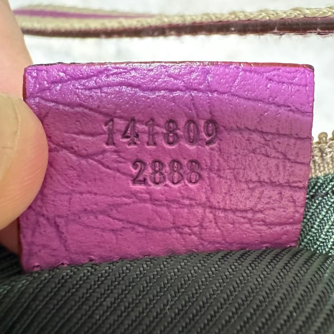 GUCCI アクセサリーポーチ　シェリーライン　GG